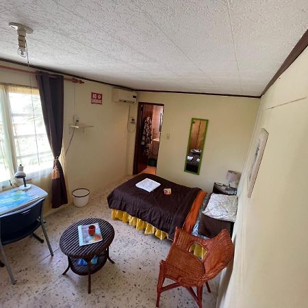 Aruba Backpackers Lägenhet Oranjestad Exteriör bild