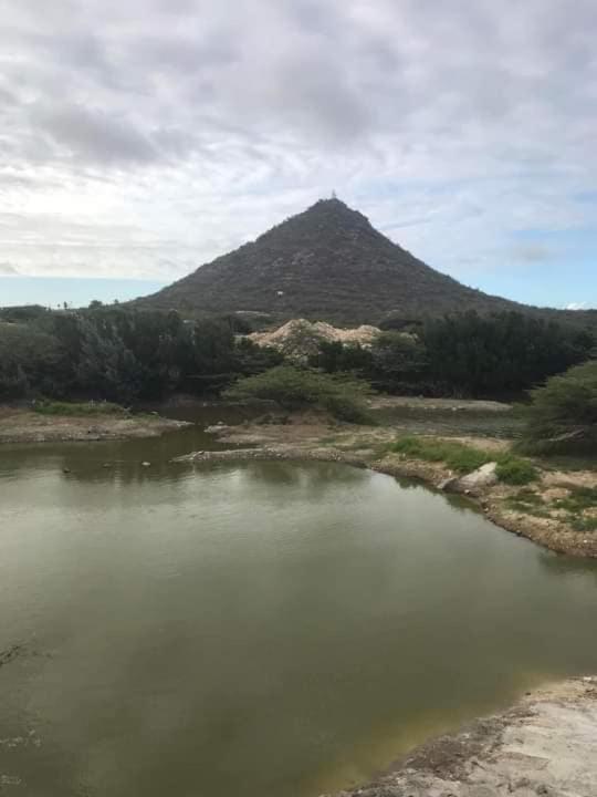 Aruba Backpackers Lägenhet Oranjestad Exteriör bild