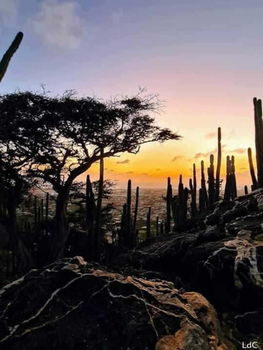 Aruba Backpackers Lägenhet Oranjestad Exteriör bild