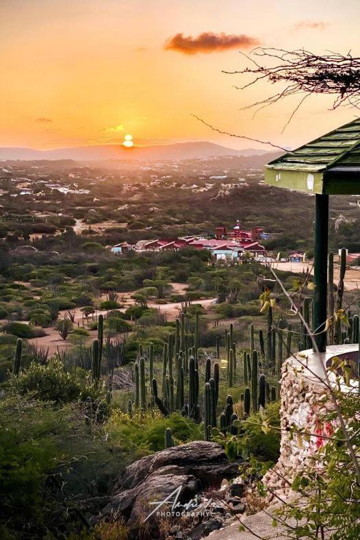 Aruba Backpackers Lägenhet Oranjestad Exteriör bild