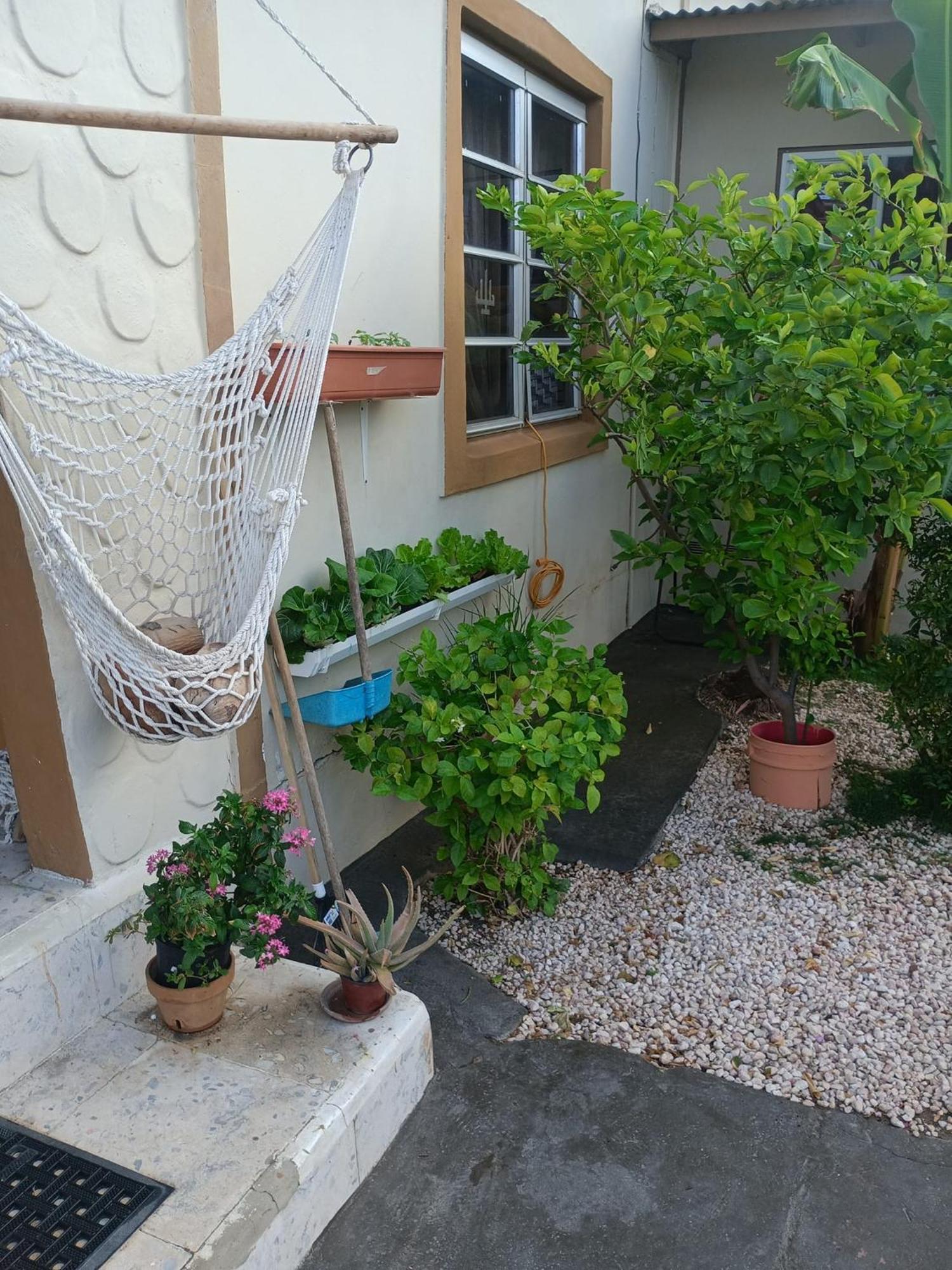 Aruba Backpackers Lägenhet Oranjestad Exteriör bild